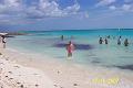 Cancun 101